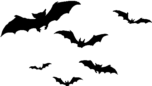 bats.png
