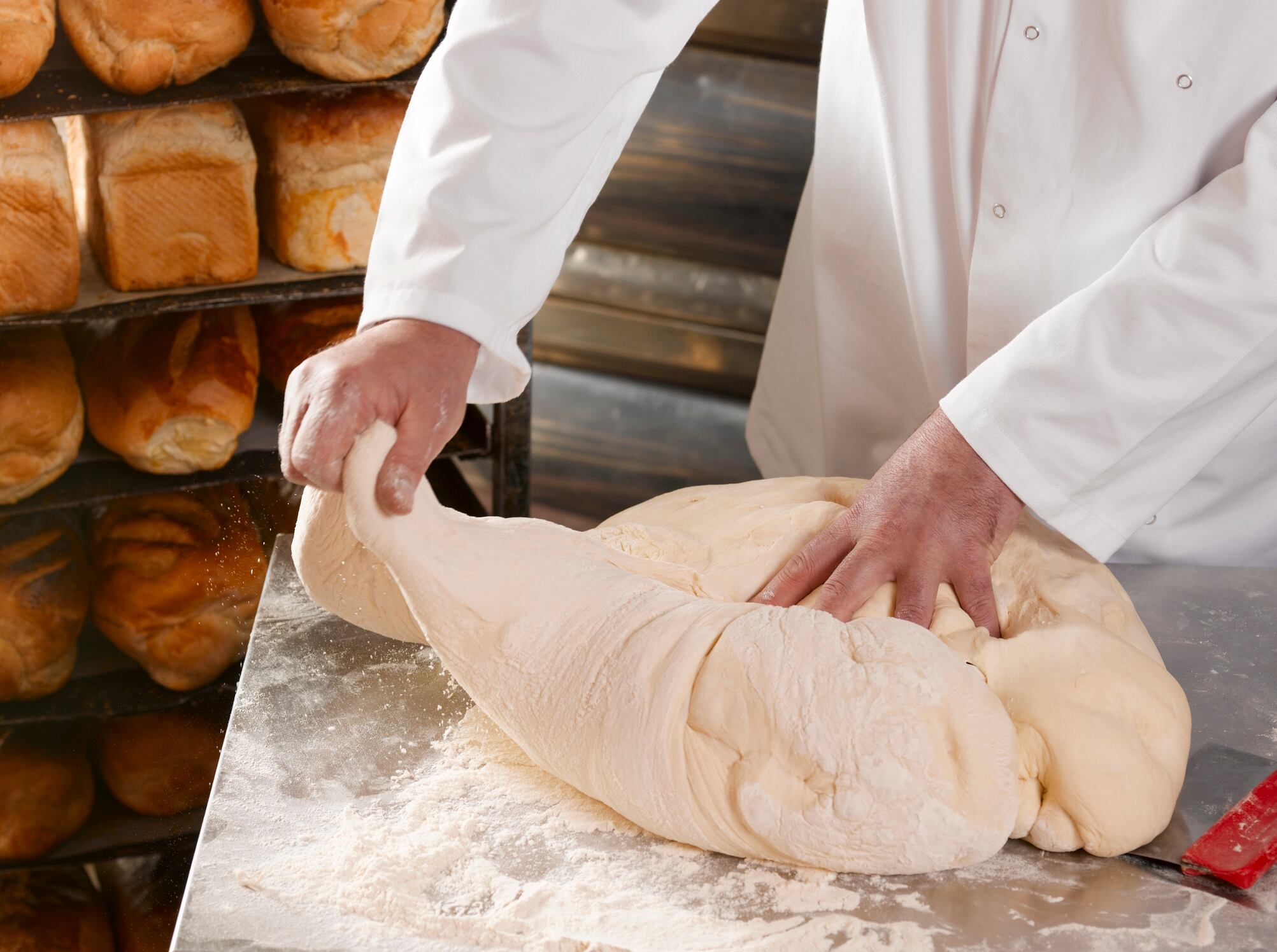 Why bakers should be turning to dough behaviour data