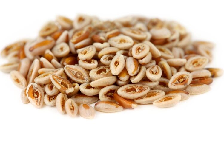 Brazilian study finds dietary fibre significantly ramps up the quality of gluten-free bread