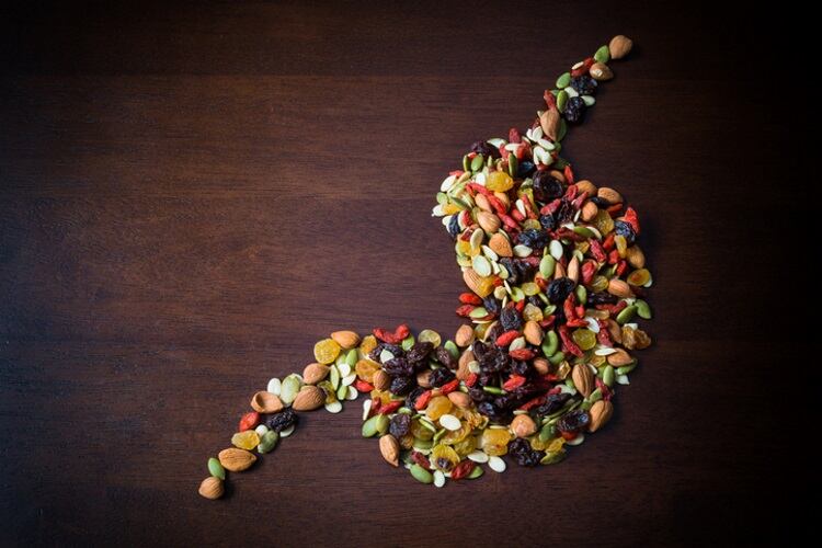 Biotech-specialist-s-healthy-gut-fibre-backed-by-preclinical-data.jpg