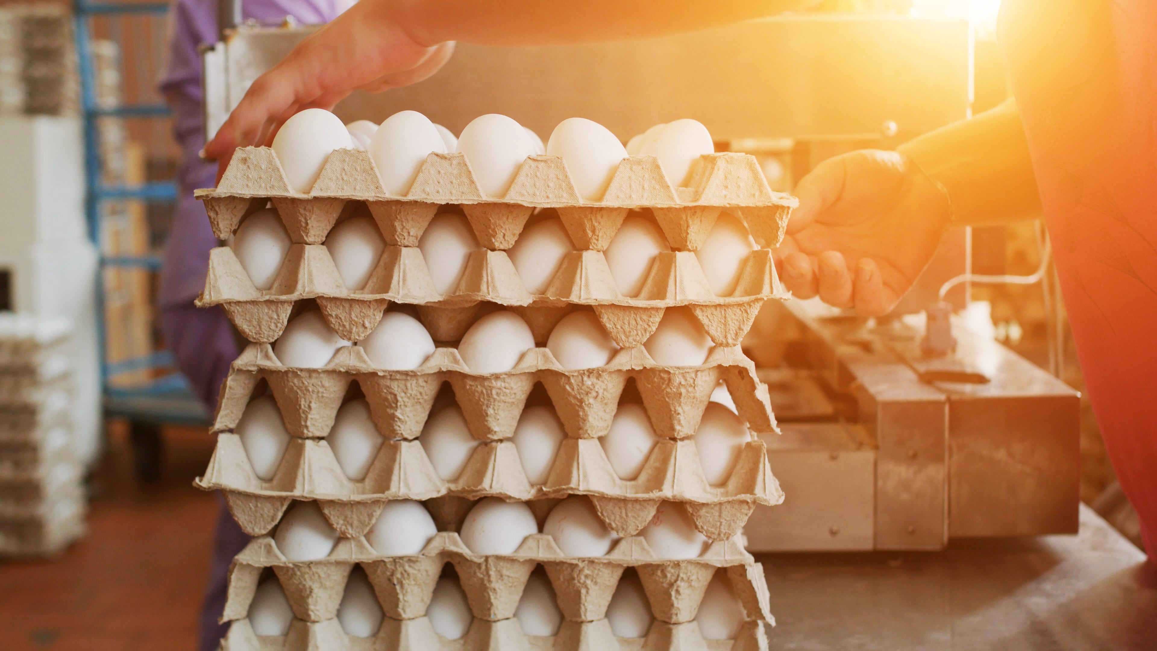 The new packaging equation: Cost, carbon and compliance