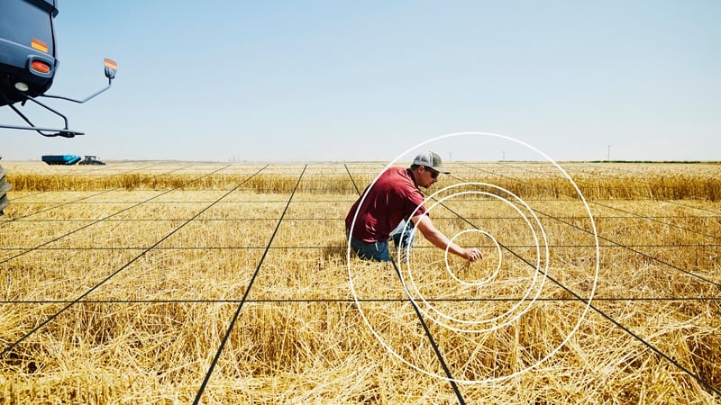 A farmer kneeling down in a wheat field