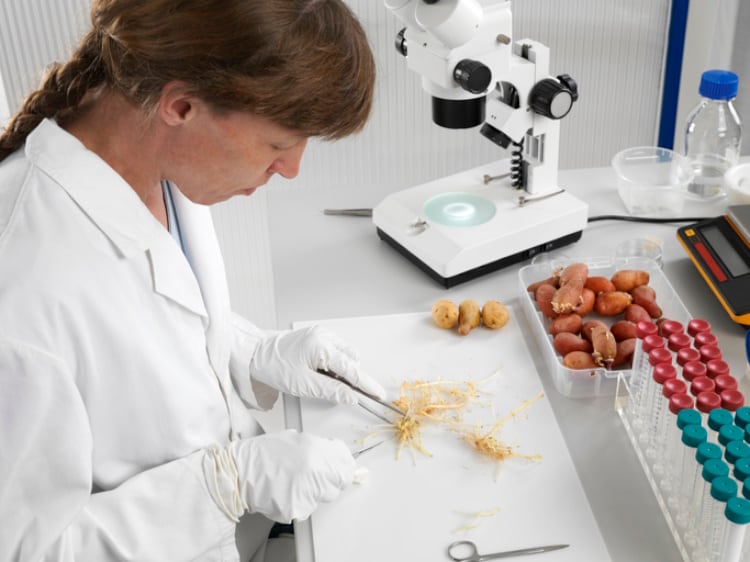Preparing-potato-sprouts-in-a-laboratory-Getty-AndreasReh.jpg
