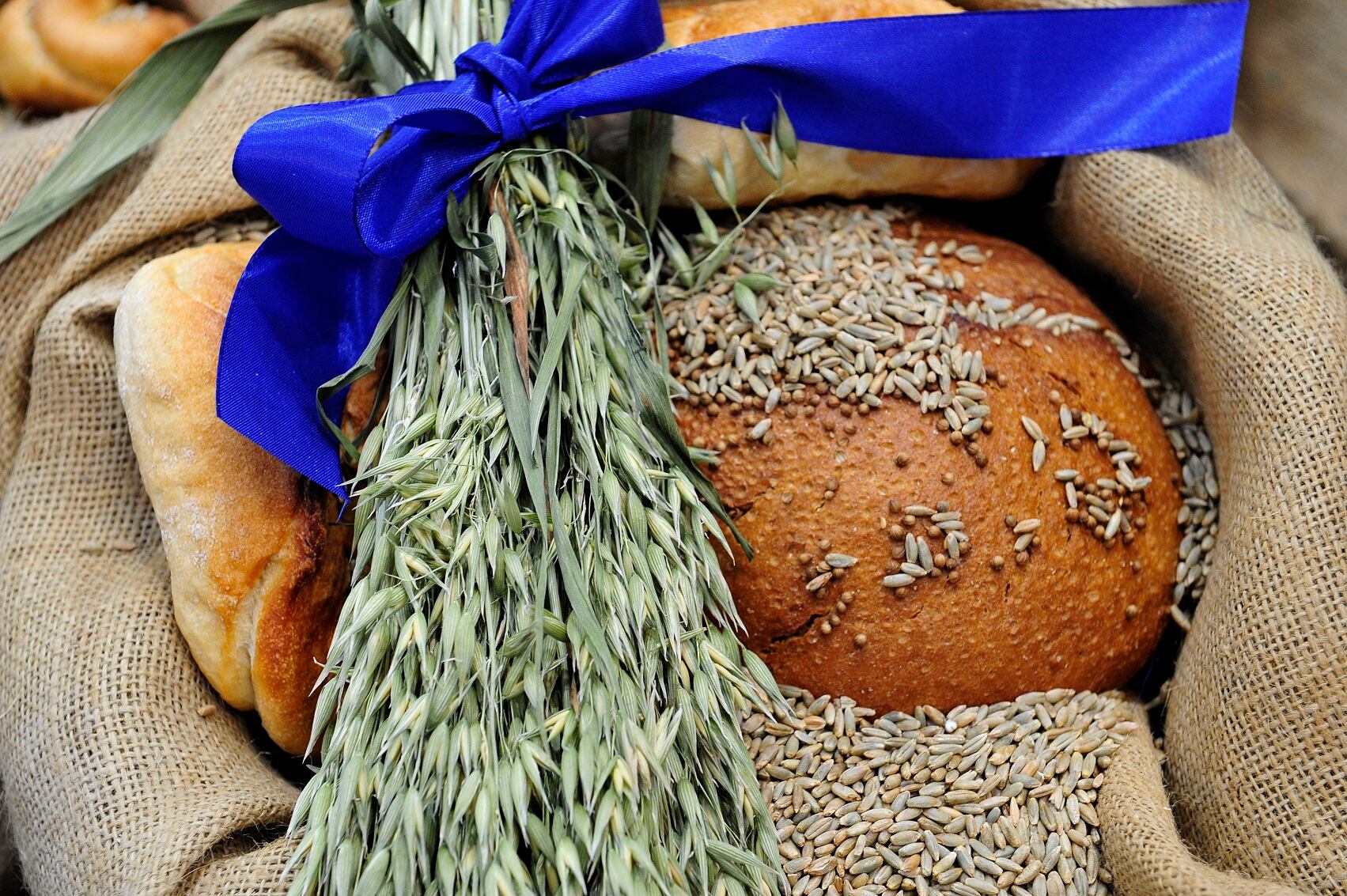 Bakels-bread-ingredients-RESIZED.jpg