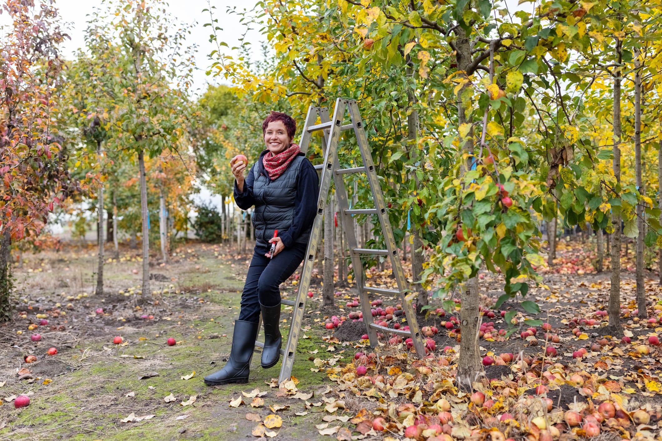 Woman gardener eating freshly harvested apple at organic orchard