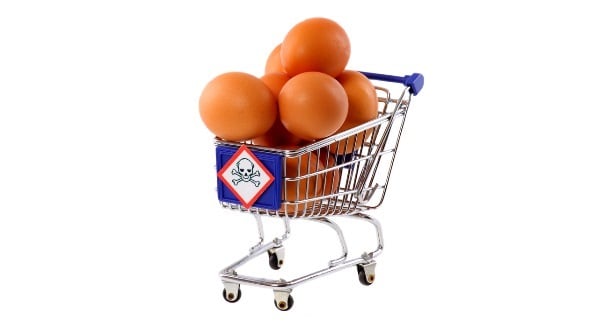 contaminated-eggs-Jan-Schneckenhaus.jpg