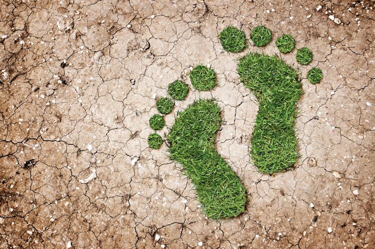 Carbon-footprint-GettyImages-140183003.jpg