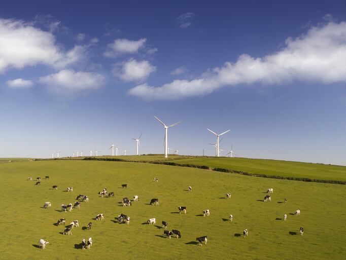 Consumers-unwilling-to-pay-premium-for-regenerative-agriculture-claims-survey-finds.jpg