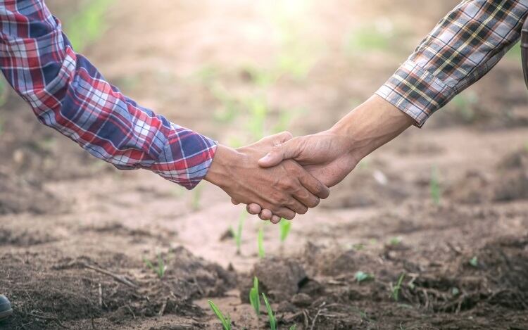 Beneo hails the WHO’s World Health Day message linking Our Planet, Our Health