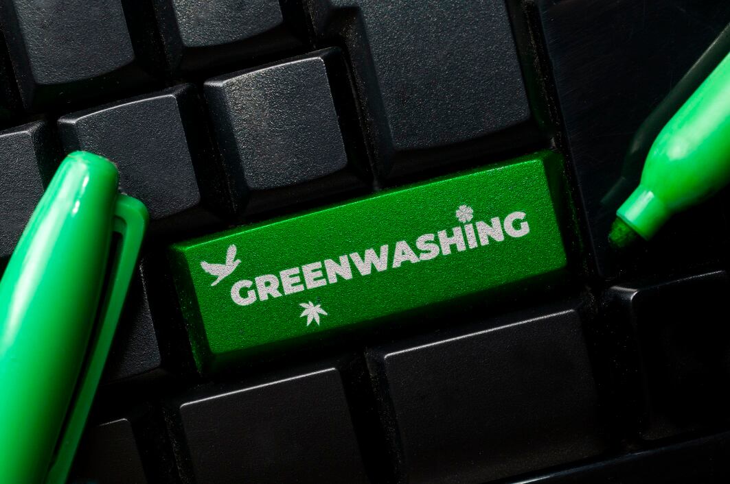 GettyImages-Christian-Storto-Fotografia-greenwashing.jpg