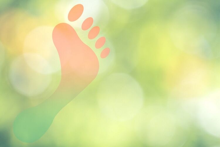 carbon-footprint-tagphoto.jpg