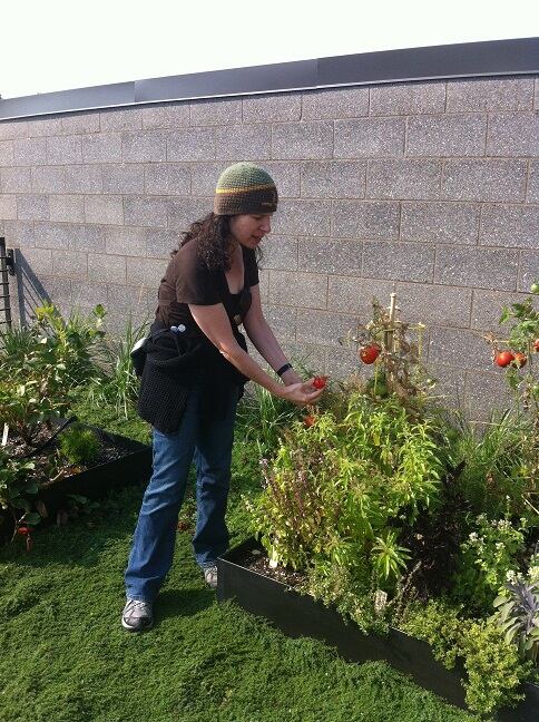 Tofurky-plant_green-roof_Lisa-Picking-Tomatoes_50pct.jpg