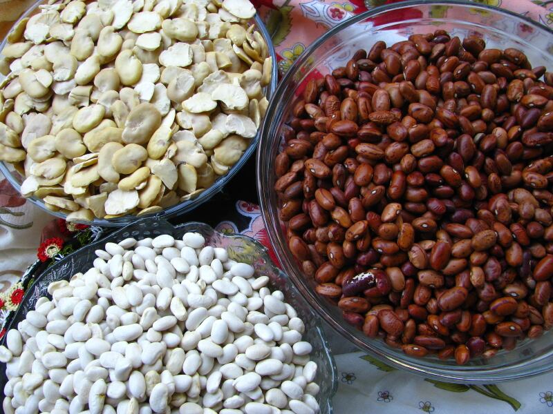 pulses-protein-beans.jpg