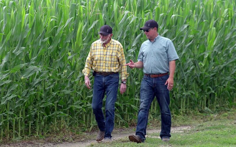 PepsiCo-Walmart-seed-120m-investment-to-boost-regenerative-agriculture.jpg