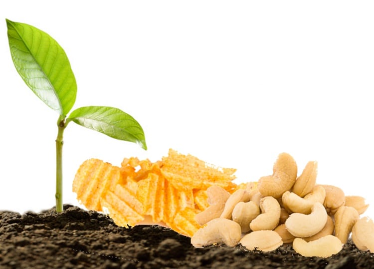 Trendspotting in 2023: A feast of plant-based options, from mousses to pizzas and protein bars