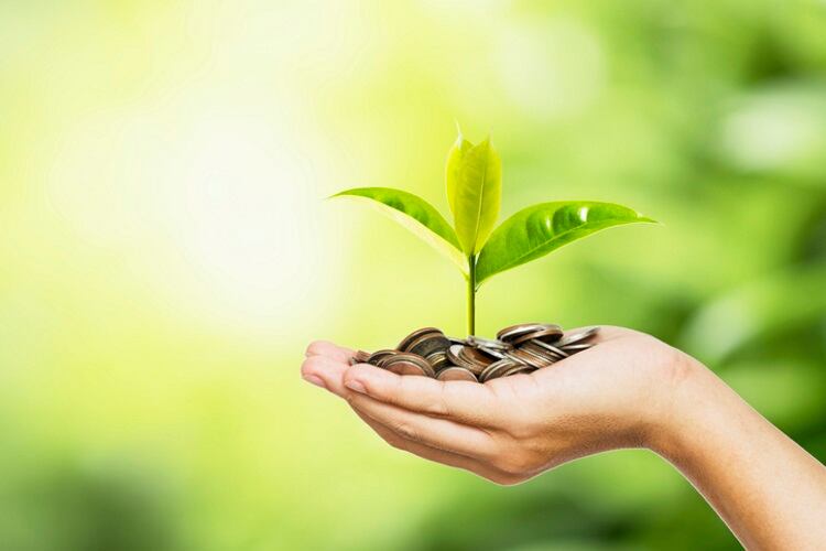 Nurturing small startups with big ideas: PepsiCo launches MENA edition of Greenhouse Accelerator