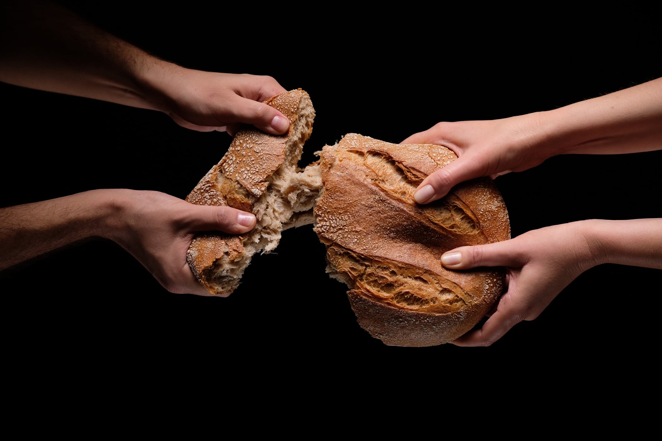 Hands tearing a loaf of bread