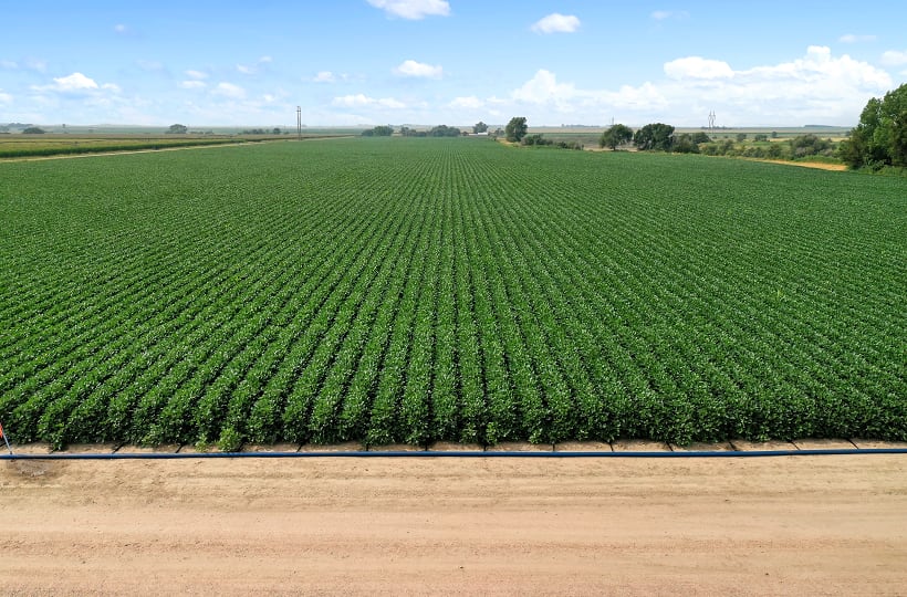 PepsiCo-bolsters-pep-framework-with-216m-investment-in-regenerative-agriculture.png