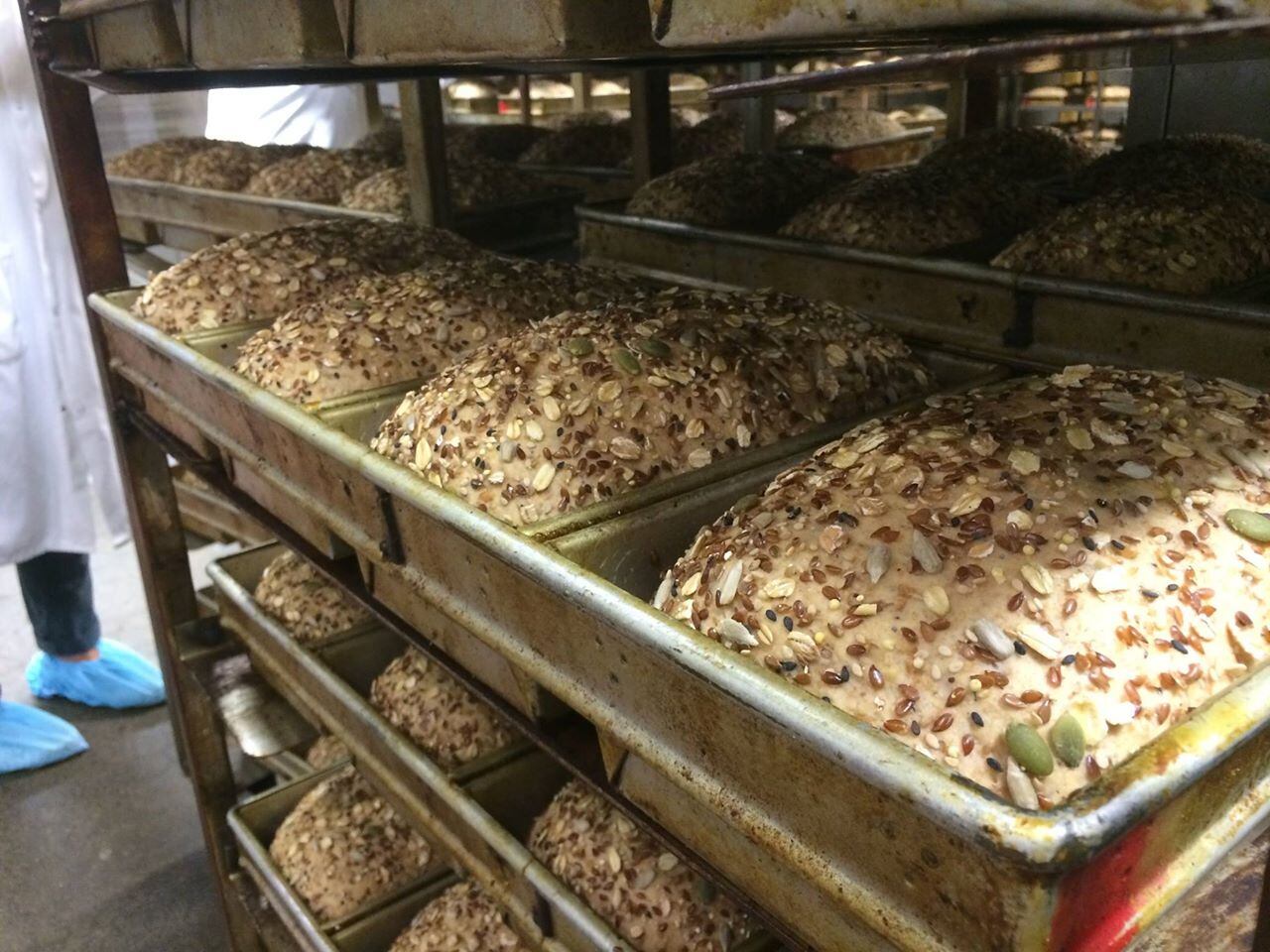 dave-s-killer-bread-factory.jpg