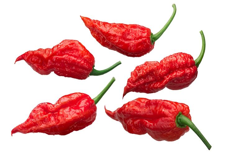 Ghost-pepper-GettyImages-1174401601.jpg