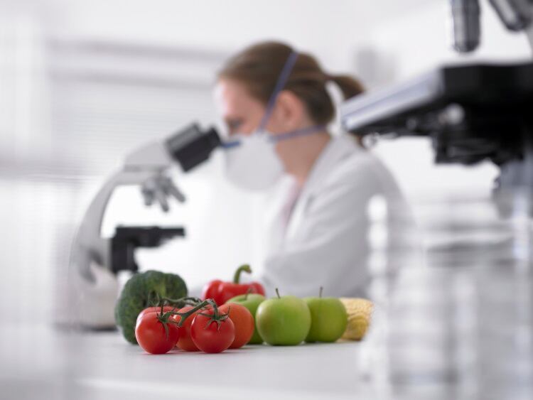 Scientist-food-waste-Adam-Gault.jpg
