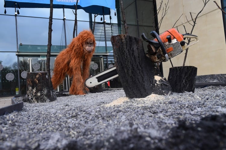 Greenpeace-1.jpg