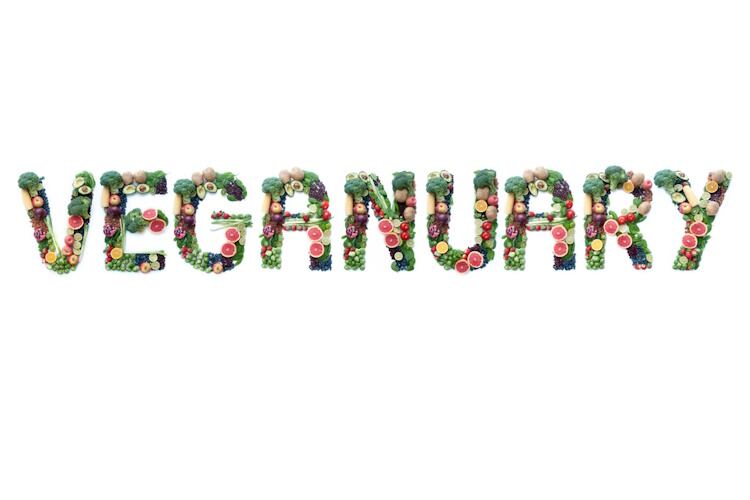 Trendspotting in 2024: From Galette des Rois for Epiphany to cruelty-free cupcakes for Veganuary
