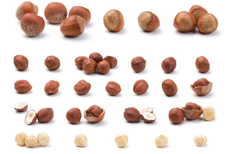 Hazelnut Growers of Oregon looking for JV partner in healthy snack category