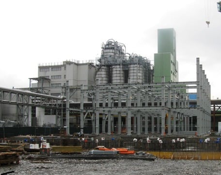 Cassano-plant2.jpg