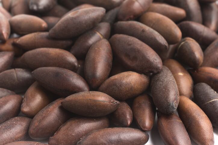 baru-nuts-rodrigobark.jpg