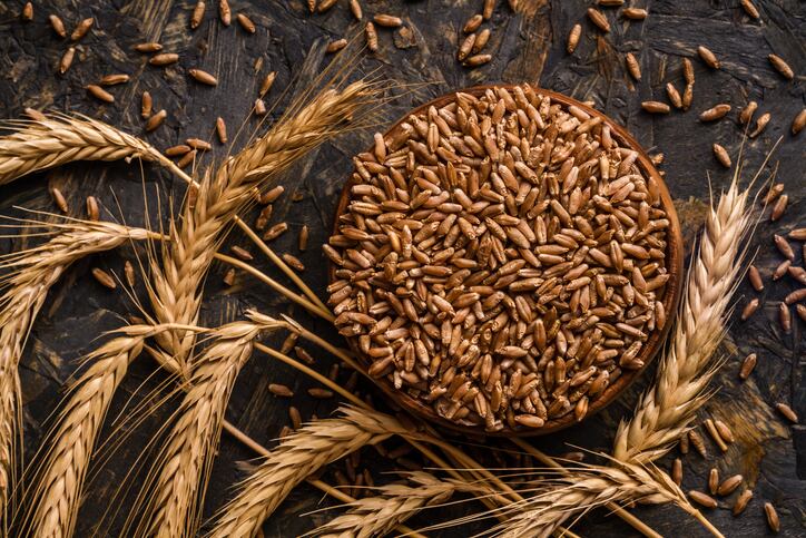 Europe-s-first-gene-edited-wheat-trial-produces-up-to-45-less-acrylamide.jpg