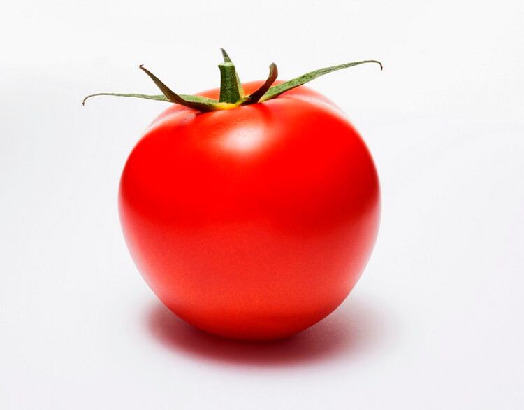 Tomato-Image-Source.jpg