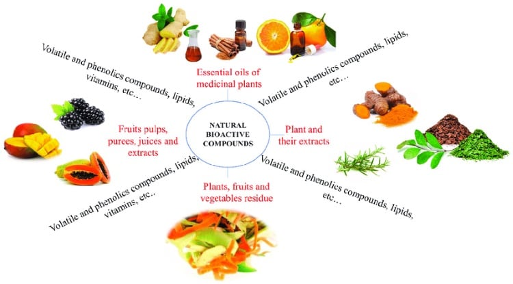 Examples-of-plant-derived-bioactive-compounds.jpg