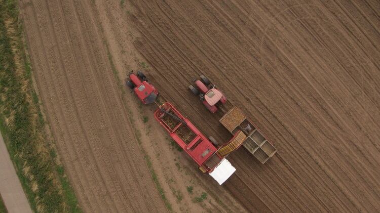 Root-Zero-growers-harvesting-potatoes-1.jpg