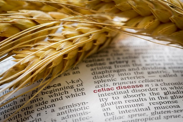 EFSA-tool-predicts-food-risk-for-coeliac-patients.jpg