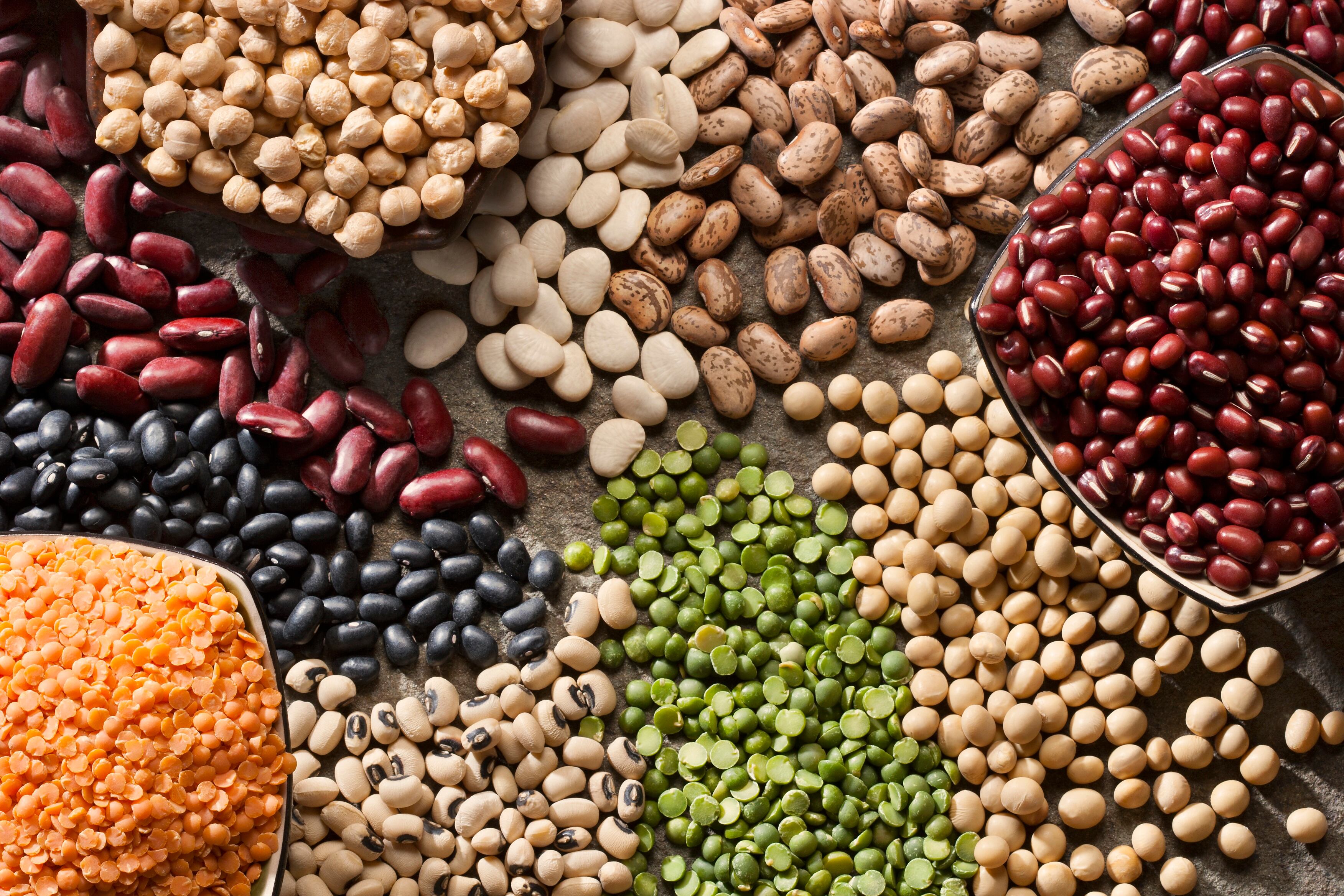 Piles of a variety of healthy organic legumes.