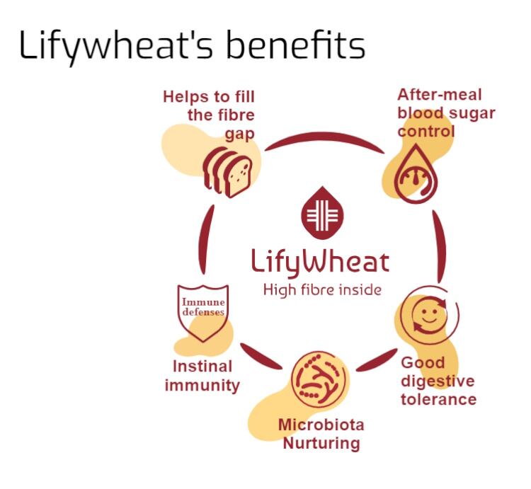 LifyWheat-1.jpg