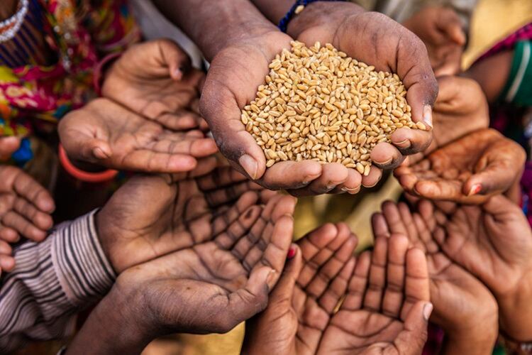 African Development Bank approves $1.5bn emergency facility to avert continent’s wheat crisis