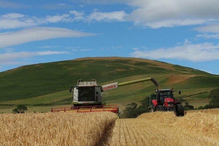 pladis adds more farmers to UK wheat sourcing scheme