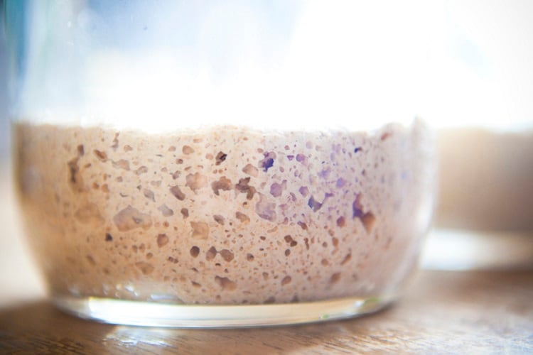 Lesaffre gives yeast its moment to shine