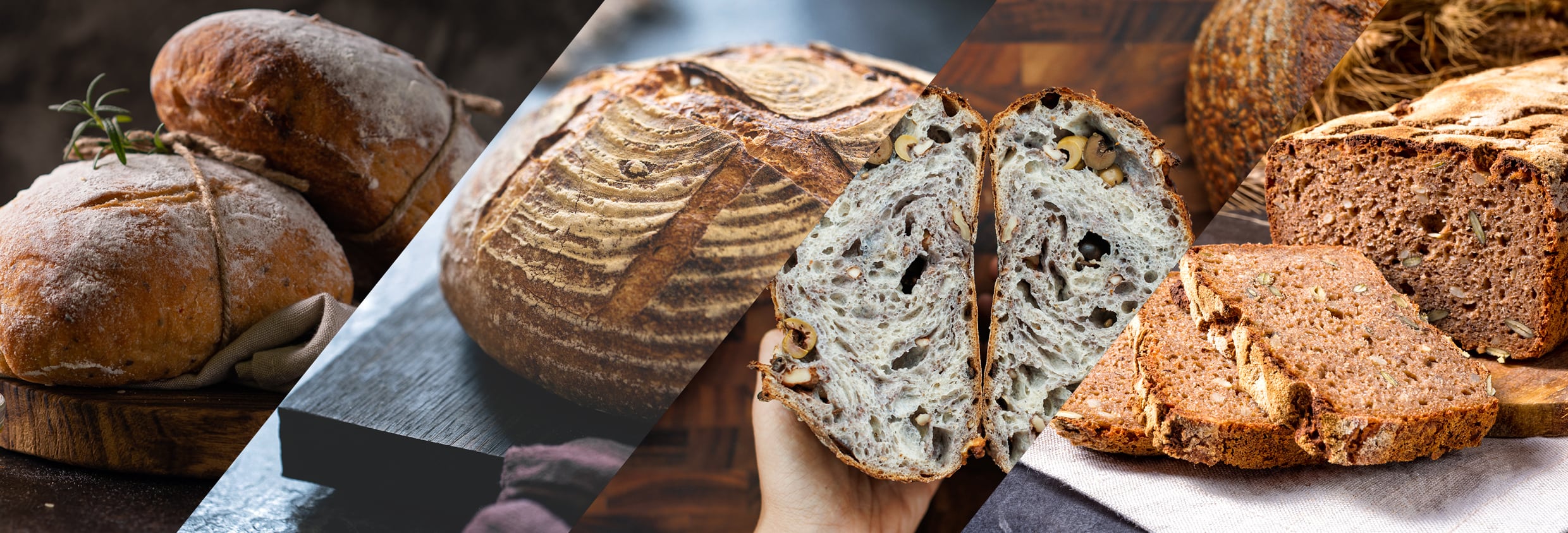 Speciality bread: Bringing together centuries-old traditions with cutting-edge innovation