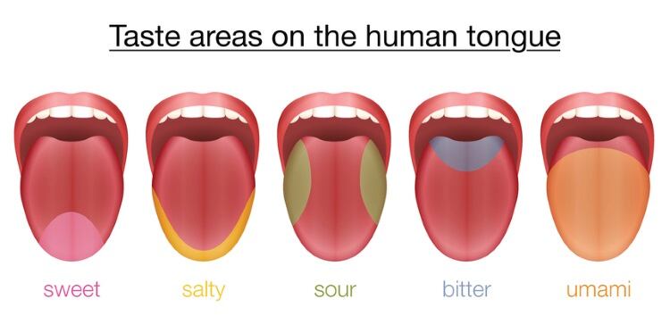 Tastebuds-GettyImages.jpg