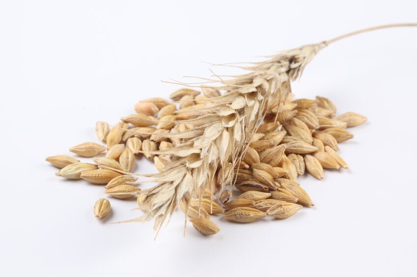 Oat-hulls-are-widely-used-in-industry-as-a-fiber-ingredient.jpg