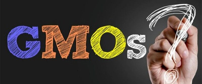 Japan GM foods update: Tighter labelling regulations issued for products with genetically modified components