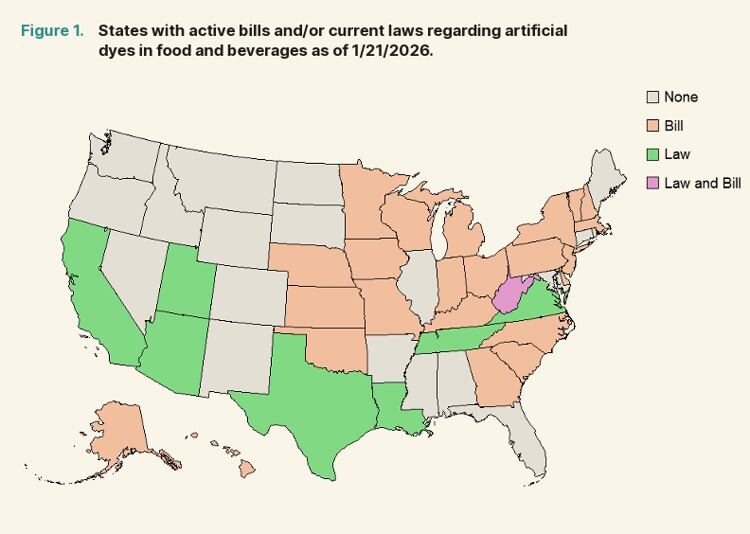 State-level bills and laws governing artificial food dyes across the US as of January 21, 2026.