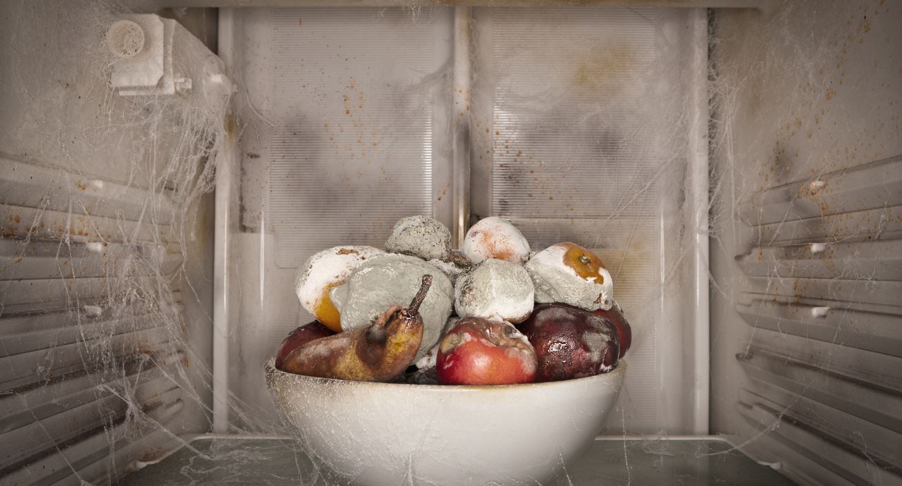 European-countries-topping-the-household-food-waste-charts.jpg