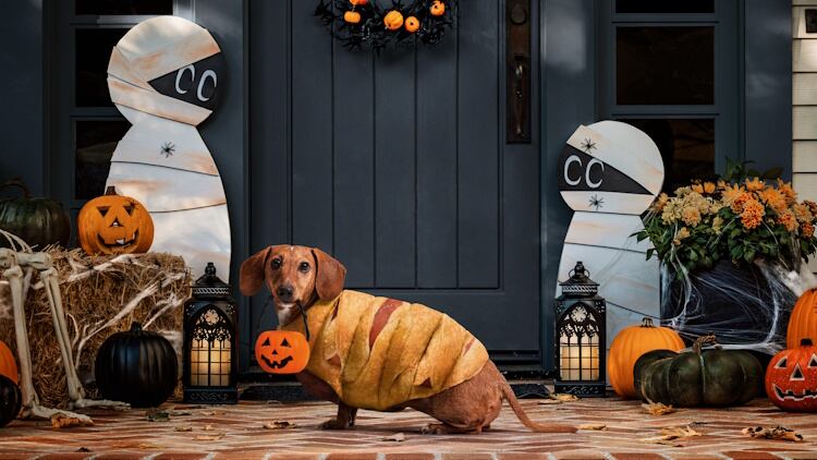 Pillsbury Mummy Dogs