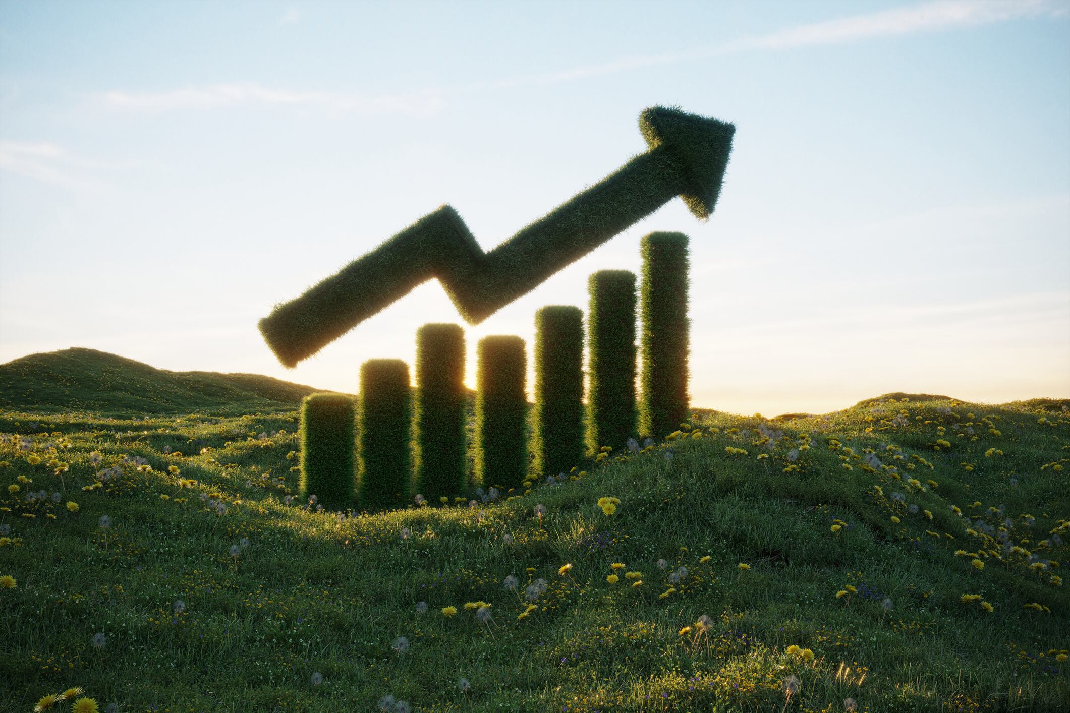 Growing grass chart on the grassy field.