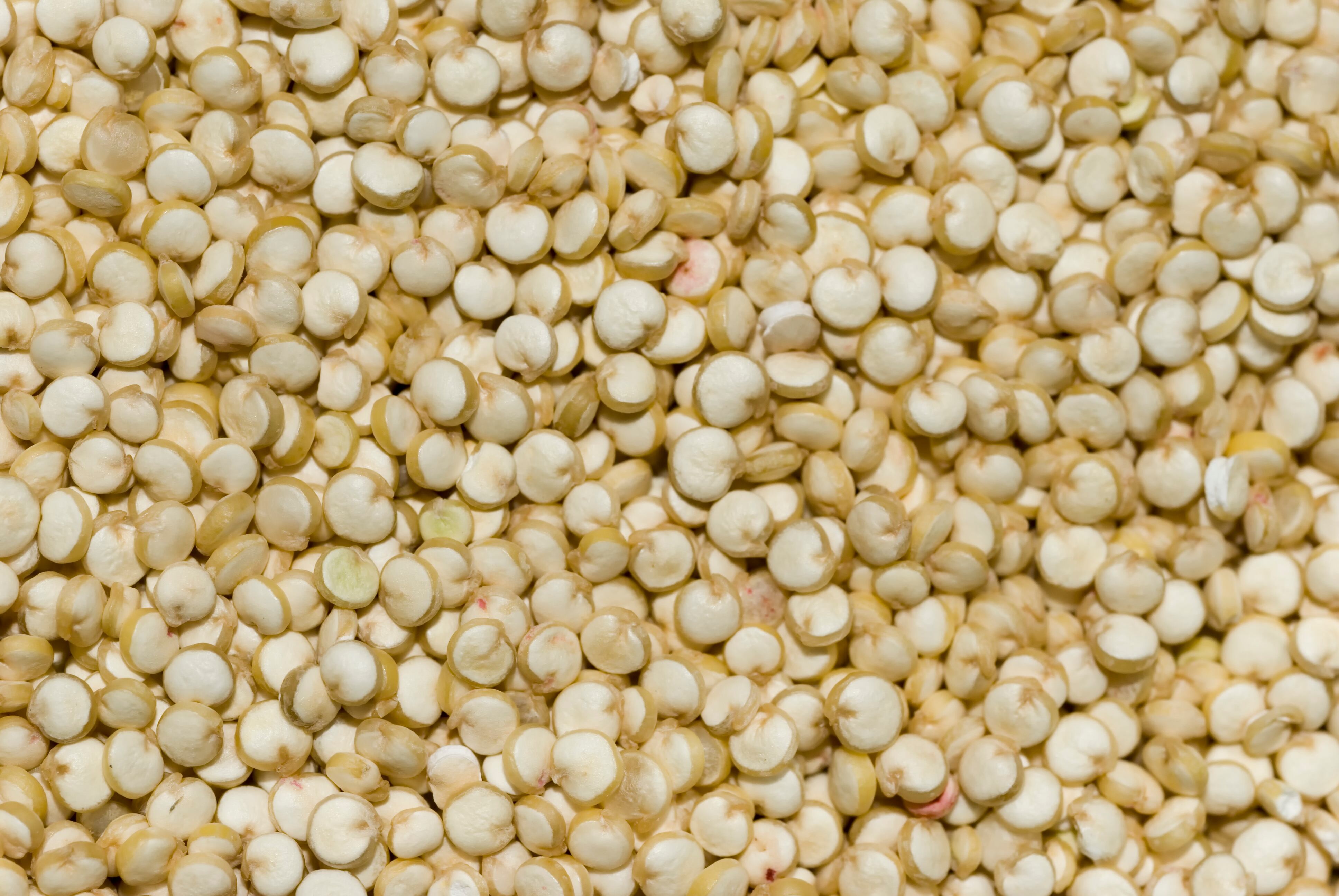 Quinoa-as-a-protein-ingredient-held-great-promise-in-grain-based-foods-Sheluga-said.jpg