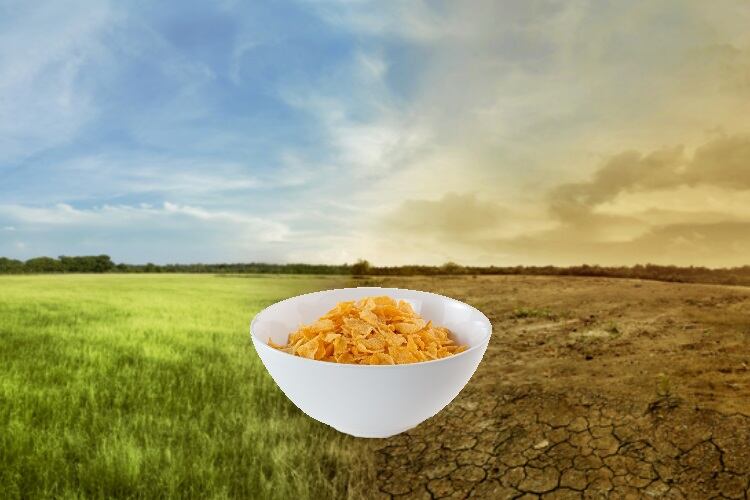 Kellogg-s-Australia-hikes-cereal-prices-thanks-to-worst-drought-in-400-years.jpg